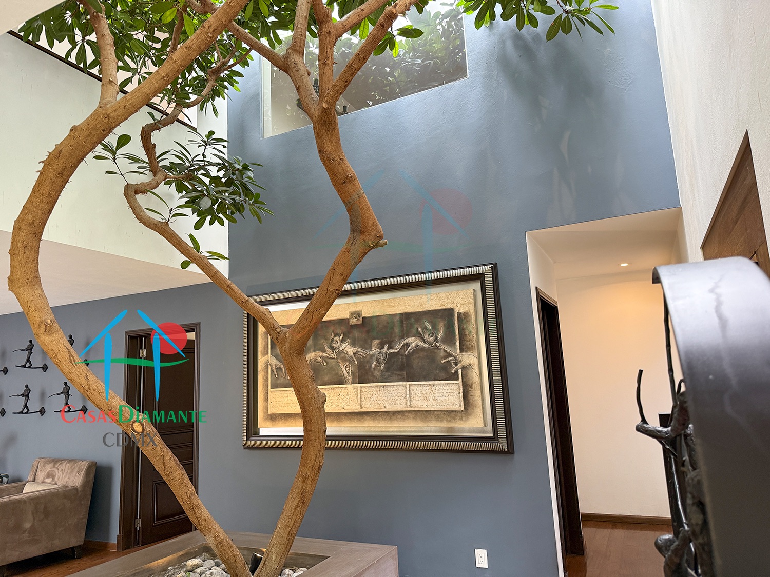 Jardines del Pedregal Casa Árbol B - Vestíbulo de acceso 9